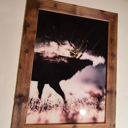 Daire Historische Meixner Am Rerobichl Kitzbuehel Oberndorf in Tirol