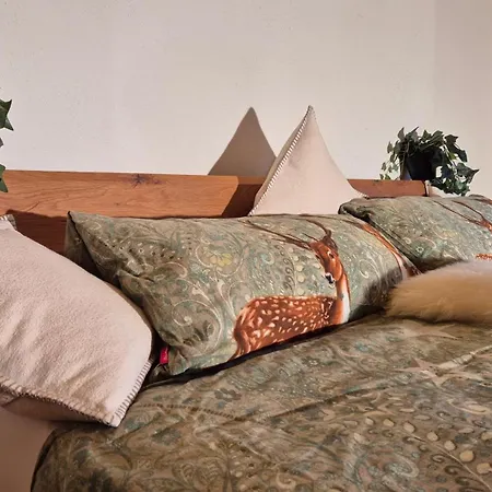 Historische Meixner Am Rerobichl Kitzbuehel Apartmán *