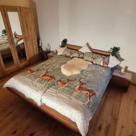 Apartmán Historische Meixner Am Rerobichl Kitzbuehel *