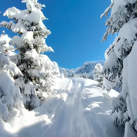 Apartment Historische Meixner Am Rerobichl Kitzbühel Oberndorf in Tirol