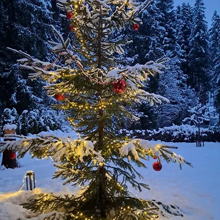 Lejlighed Historische Meixner Am Rerobichl Kitzbuehel