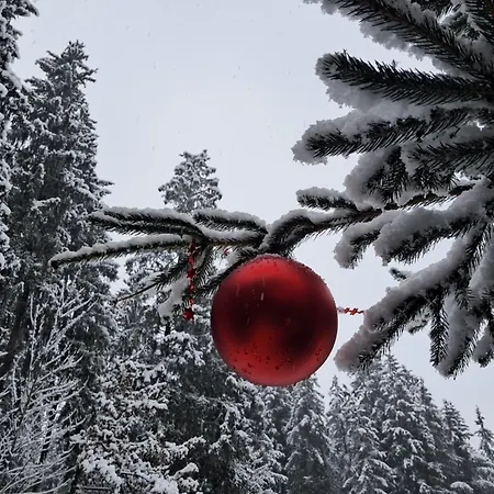 Historische Meixner Am Rerobichl Kitzbuehel