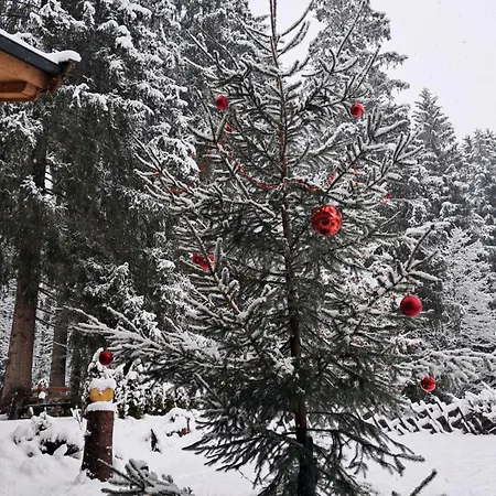 Historische Meixner Am Rerobichl Kitzbuehel Lejlighed *