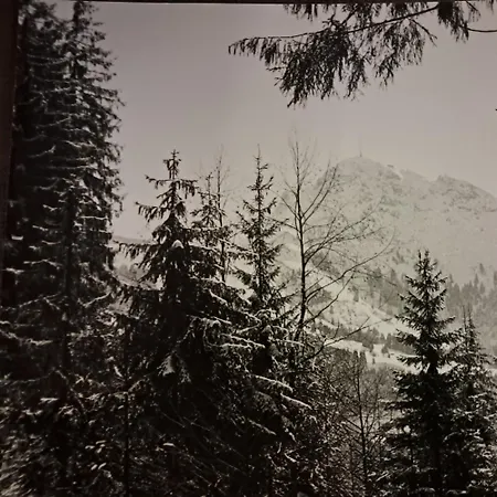 Historische Meixner Am Rerobichl Kitzbuehel *