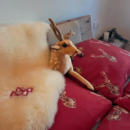 Historische Meixner Am Rerobichl Kitzbuehel *