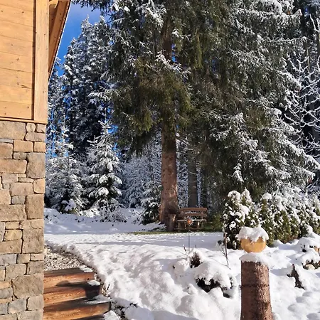 Historische Meixner Am Rerobichl Kitzbuehel Daire