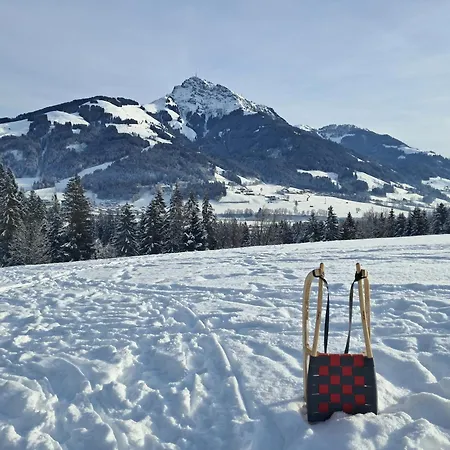 Historische Meixner Am Rerobichl Kitzbuehel Lejlighed