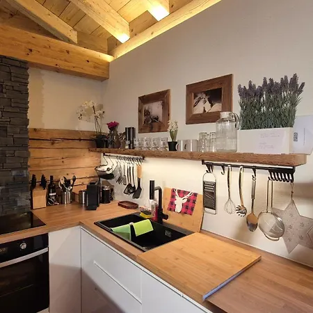 Apartment Historische Meixner Am Rerobichl Kitzbühel