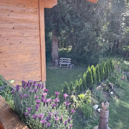 Historische Meixner Am Rerobichl Kitzbühel