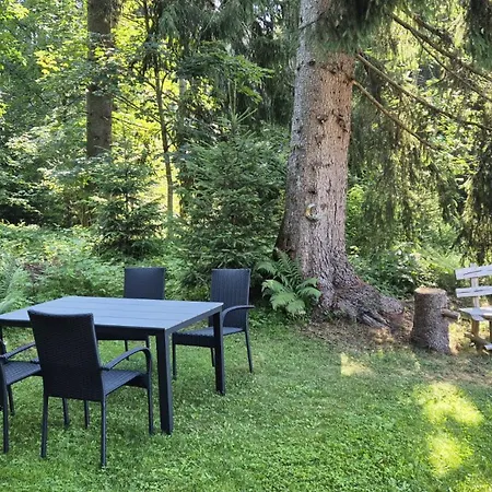 شقة Historische Meixner Am Rerobichl Kitzbuehel *