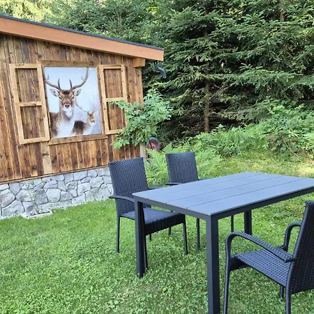 Historische Meixner Am Rerobichl Kitzbuehel Apartment Oberndorf in Tirol
