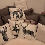 Historische Meixner Am Rerobichl Kitzbuehel 公寓 *