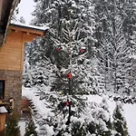 Historische Meixner Am Rerobichl Kitzbuehel * 蒂罗尔州奥伯恩多夫
