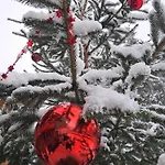 Apartament Historische Meixner Am Rerobichl Kitzbuehel